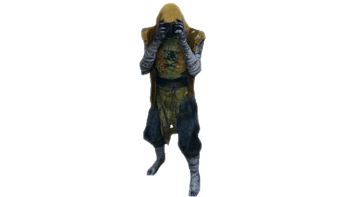 Dreg Ritualist enemy portrait